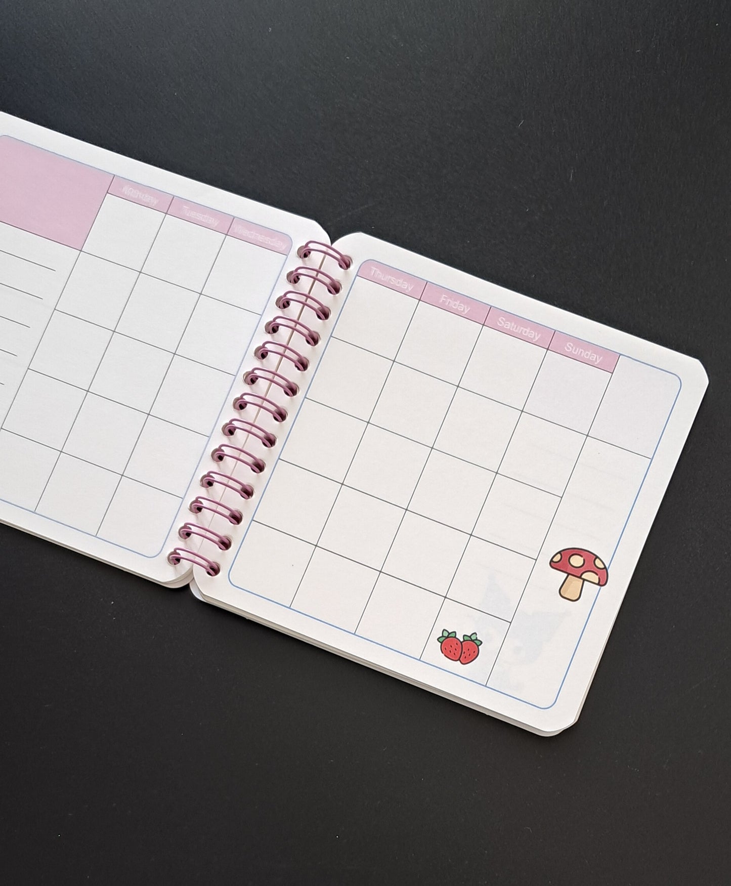 Planner Dairy - 1pc