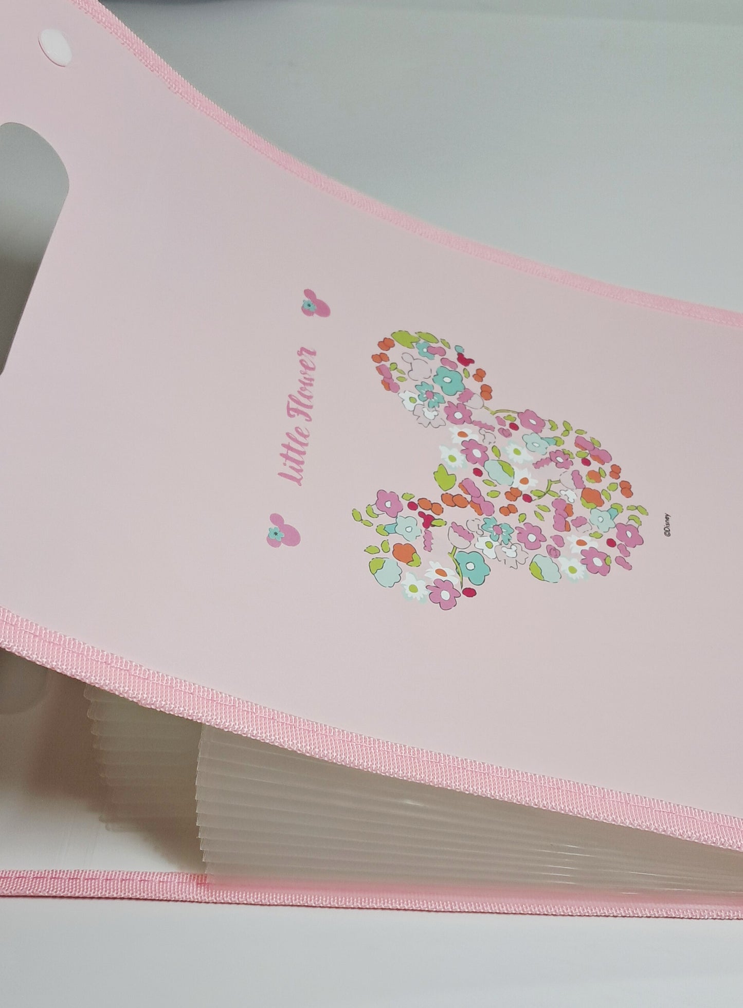 File Folder with Button